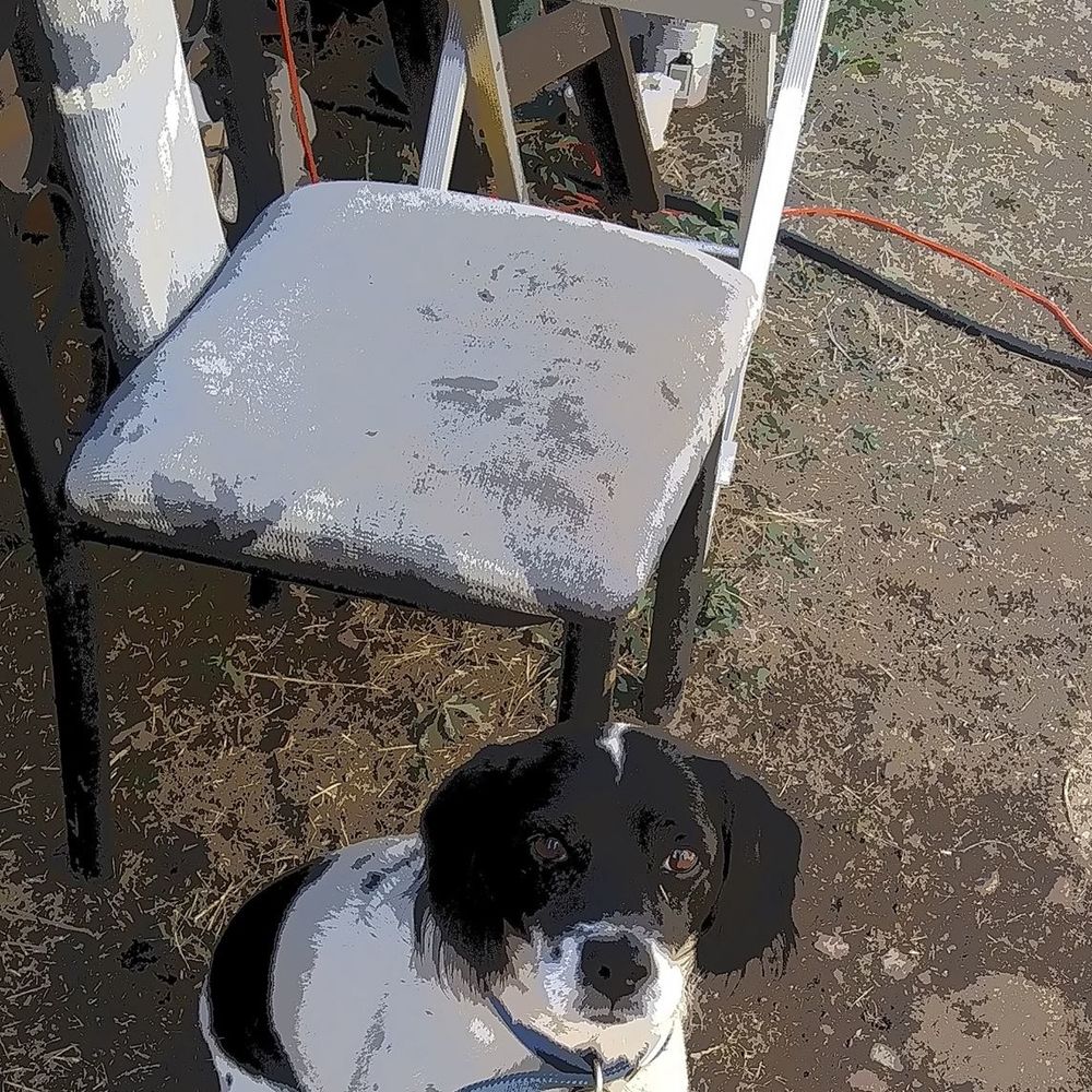 Meet your Posher, Juanita